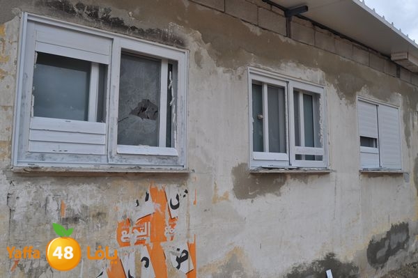 kaneswa7akhdra2lud316 (2).JPG